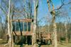 Tree House in Fall Tree House in Fall